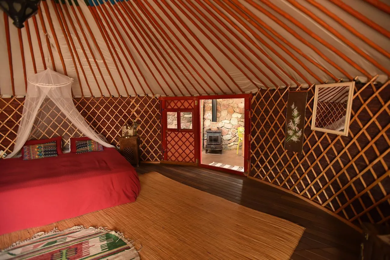 Вилла Williams House Эйлат Деревянный коттедж